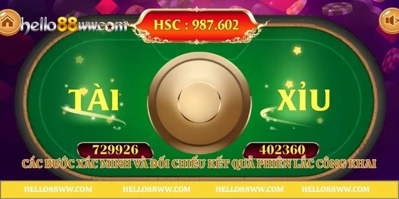 Các bước xác minh và đối chiếu kết quả phiên lắc công khai